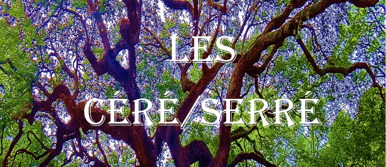 Display of book: « Les céré/serré De génération en génération 1634 à 2022 »